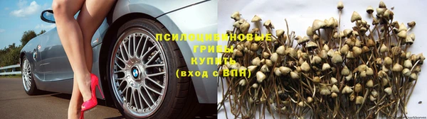 соль курить ск Алексин