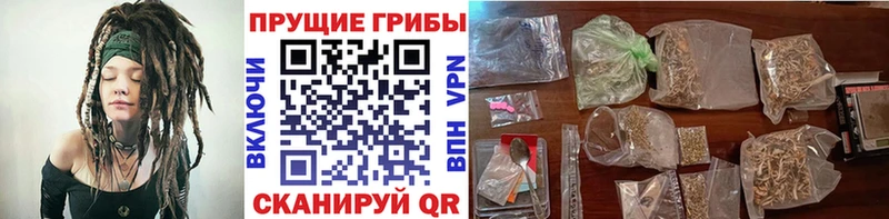 купить  цена  Шарья  Галлюциногенные грибы GOLDEN TEACHER 